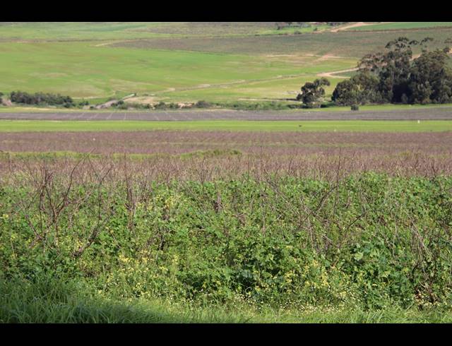 235HA FARM FOR SALE IN MALMESBURY RURAL